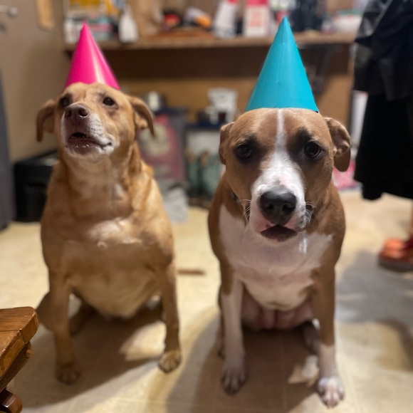 I'm live!! - Picture 4 of 4